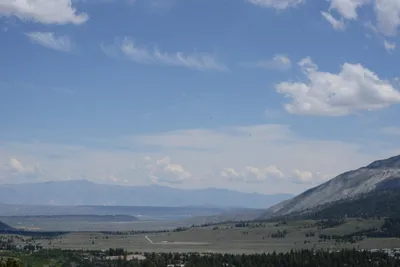 DSC_3164 (Large).JPG